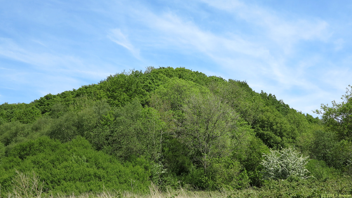 Rocquefort (la Butte)