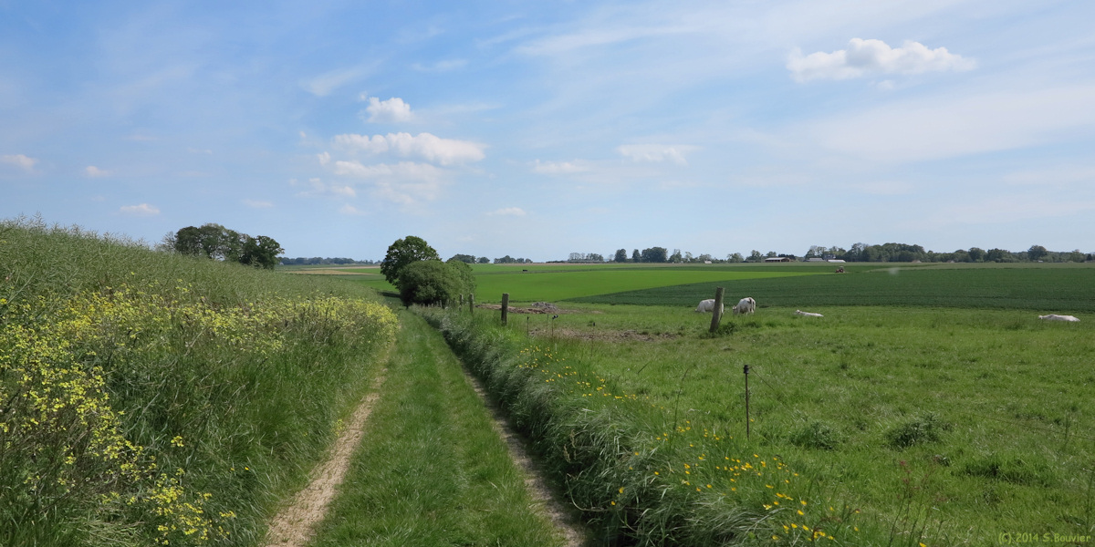 Rocquefort (Chemin 1)