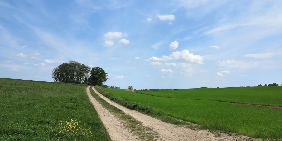 Rocquefort (Chemin 2)
