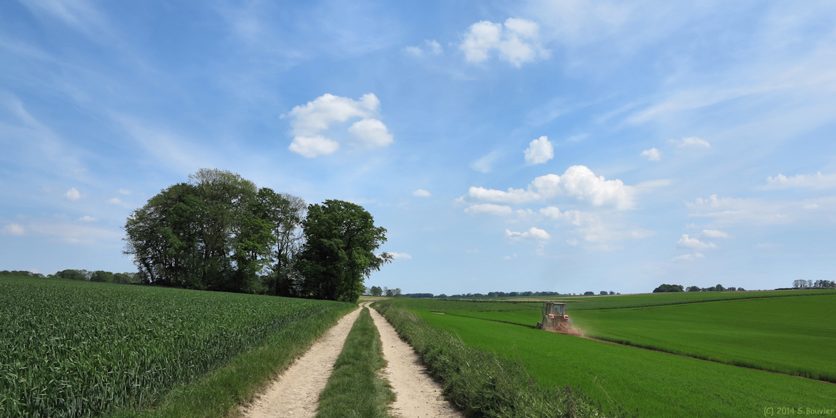 Rocquefort (Chemin 3)
