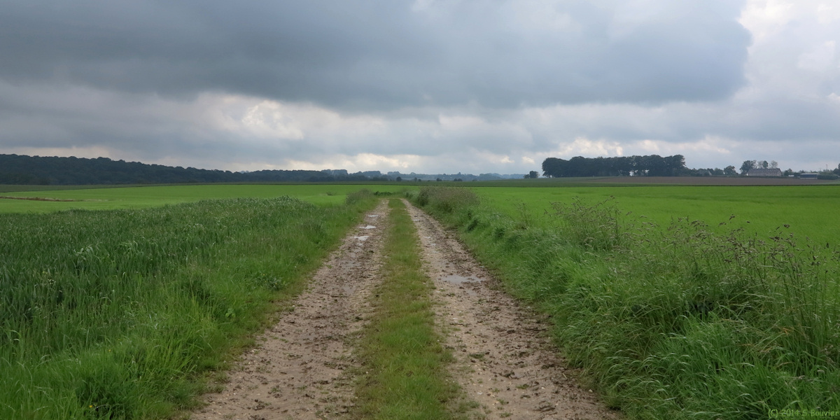 Bréauté (Chemin 1)
