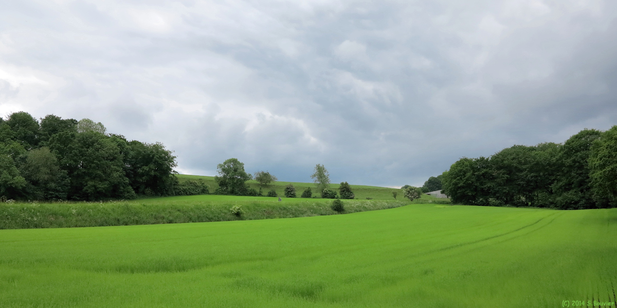 Bénarville (Beaubêtre)