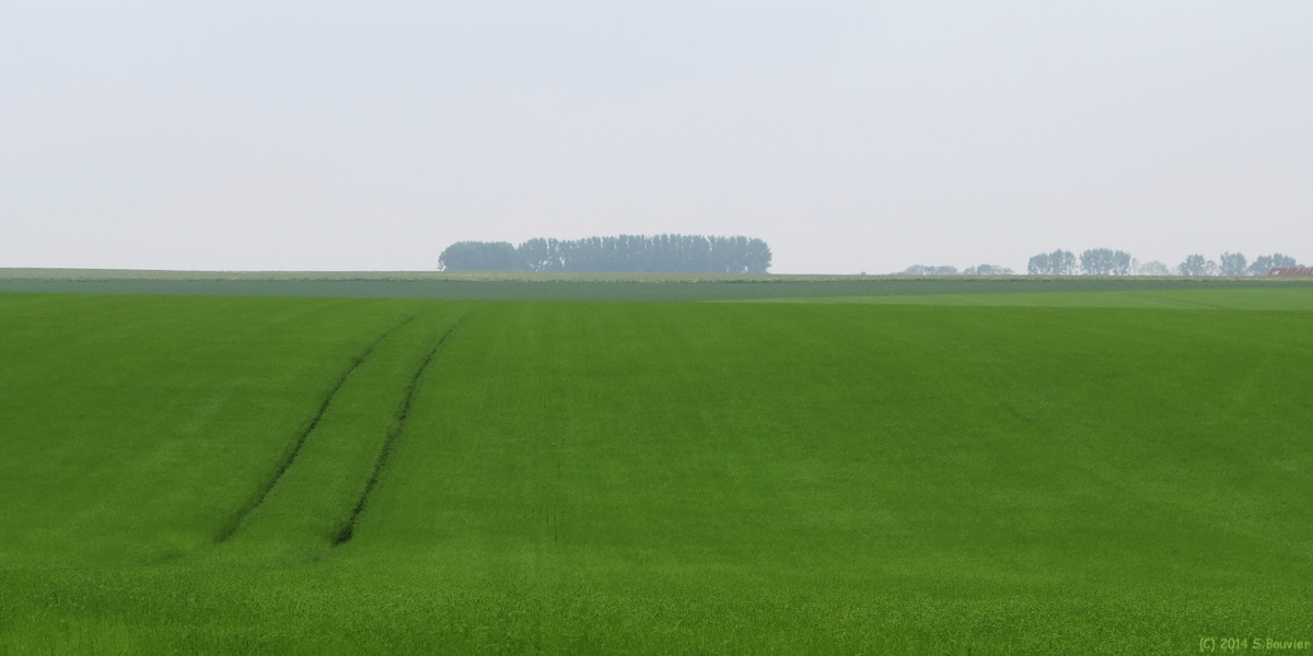 Angerville-Bailleul (Champ)