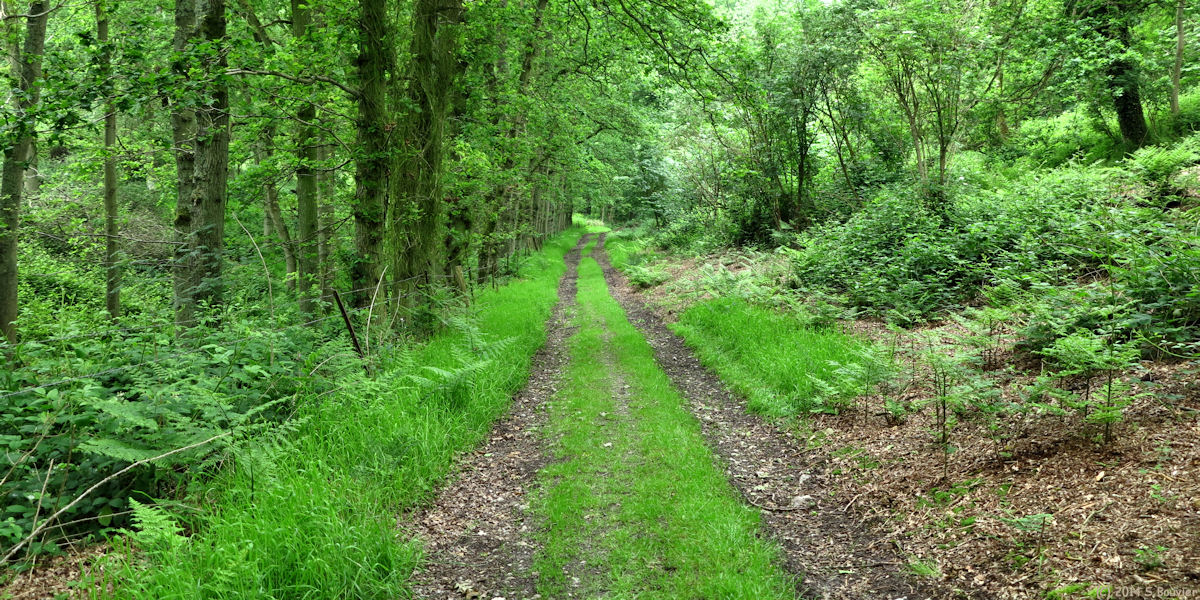 Annouville-Vilmesnil (Chemin)