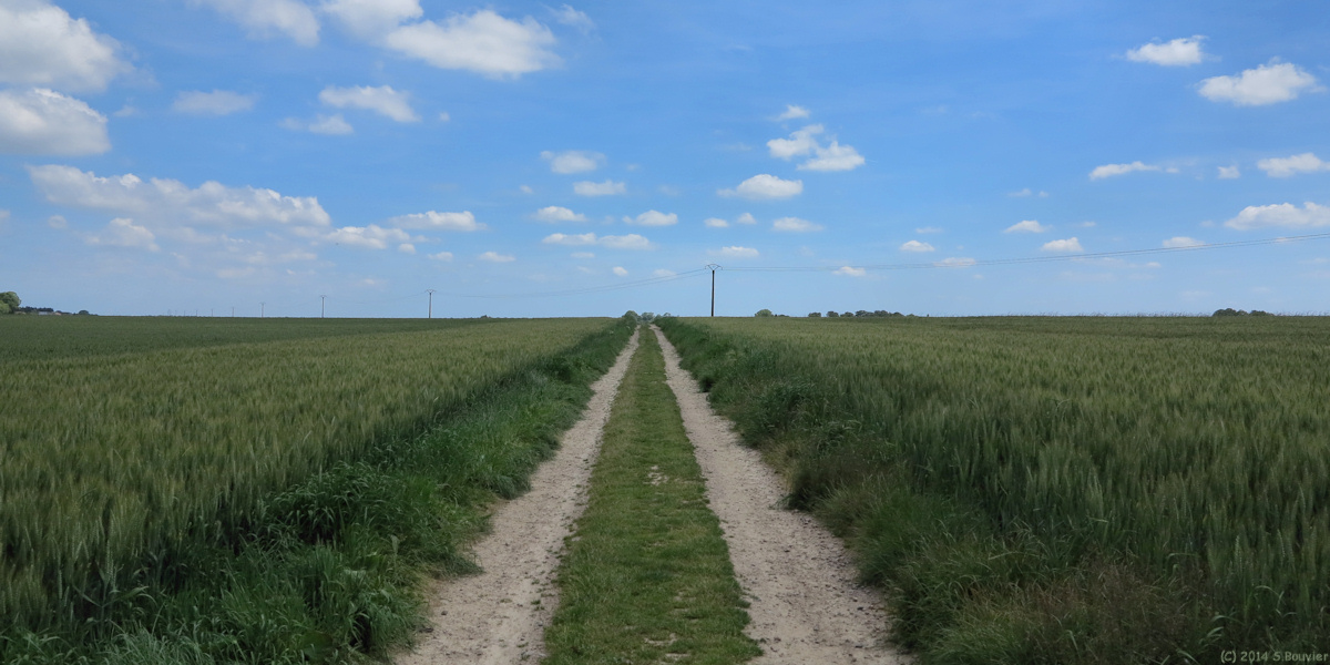 Saint Romain de Colbosc (Chemin)