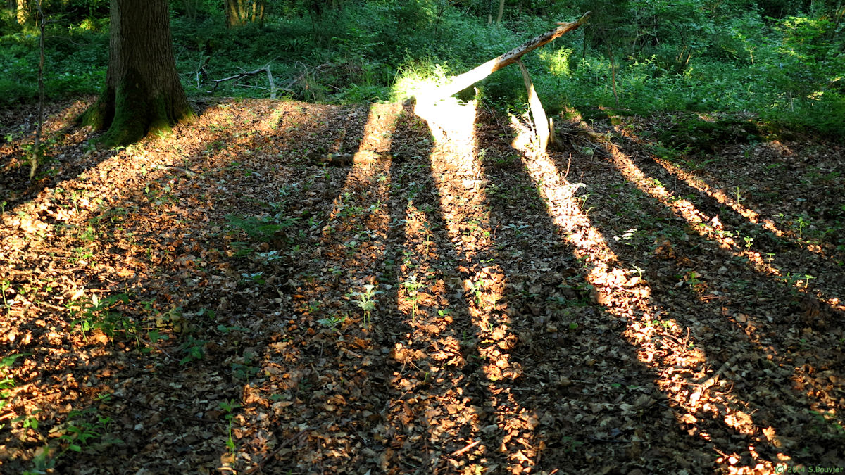 Saint Romain de Colbosc (Ombres)