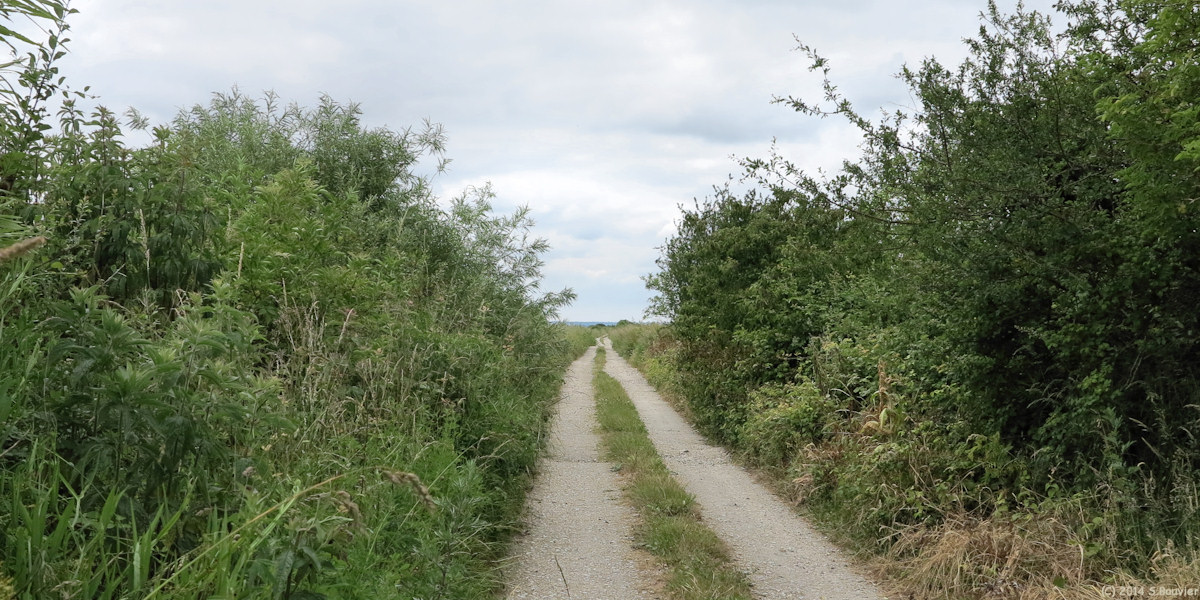 La Cerlangue (Marais 2)