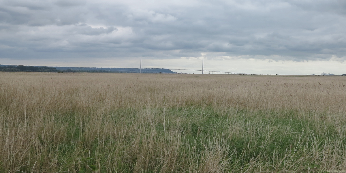 Saint Vigor d'Ymonville (Pont de Normandie 2)