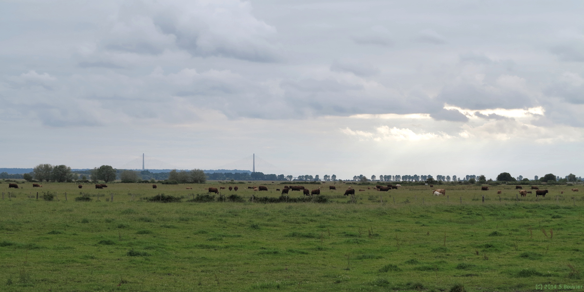 Tancarville (Marais)