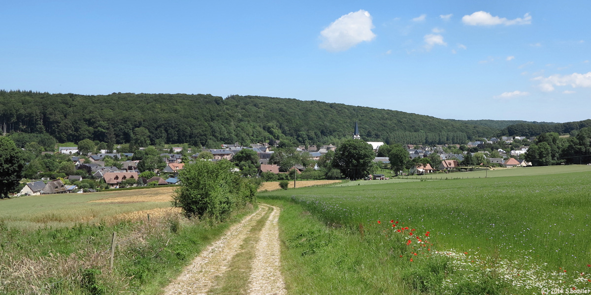 Grainville la Teinturière (Bourg)
