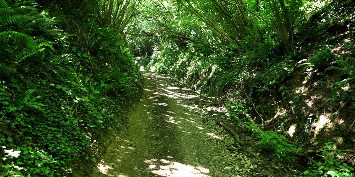 Grainville la Teinturière (Chemin 1)