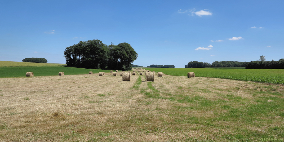 Thiouville (Meules)