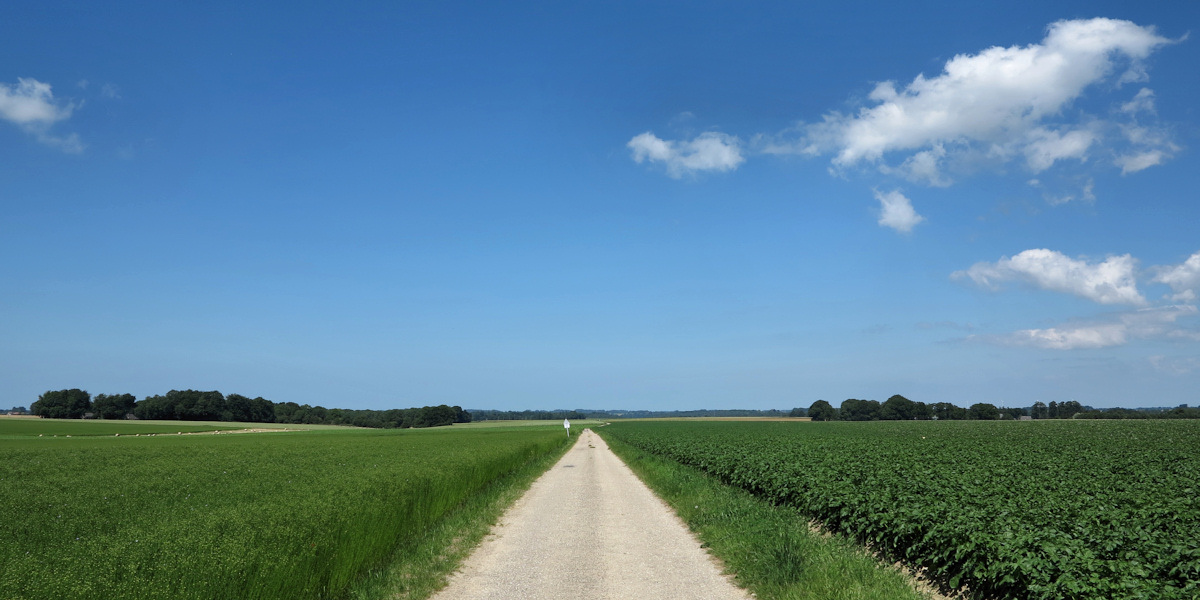 Envronville (Chemin)