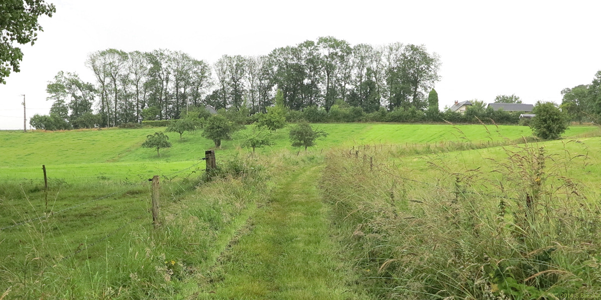 Saint Laurent de Brèvedent (Chemin 1)
