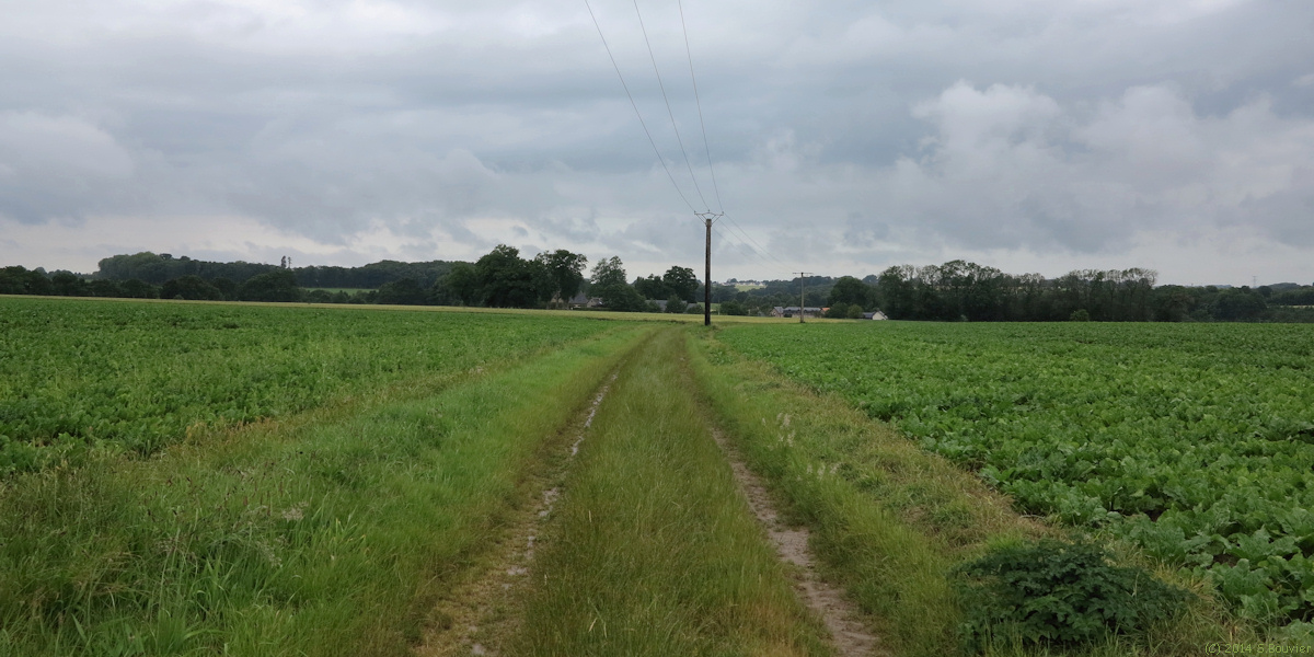 Saint Laurent de Brèvedent (Chemin 2)