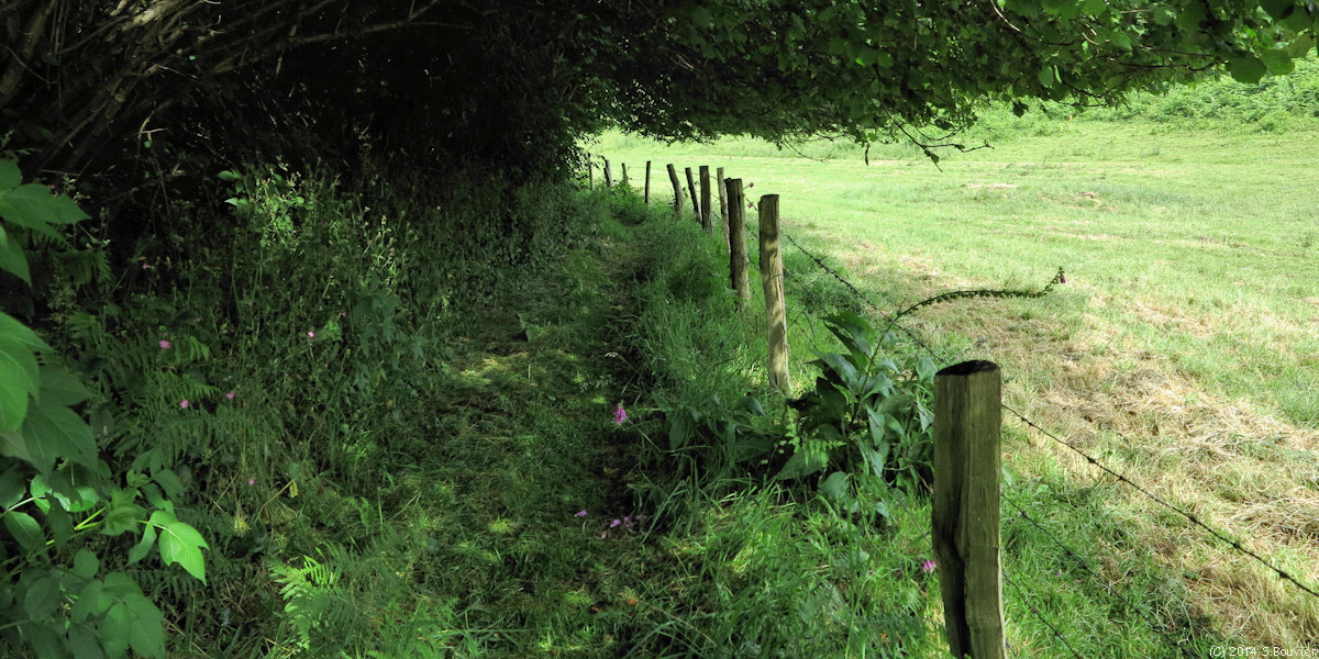 Epretot (Chemin)