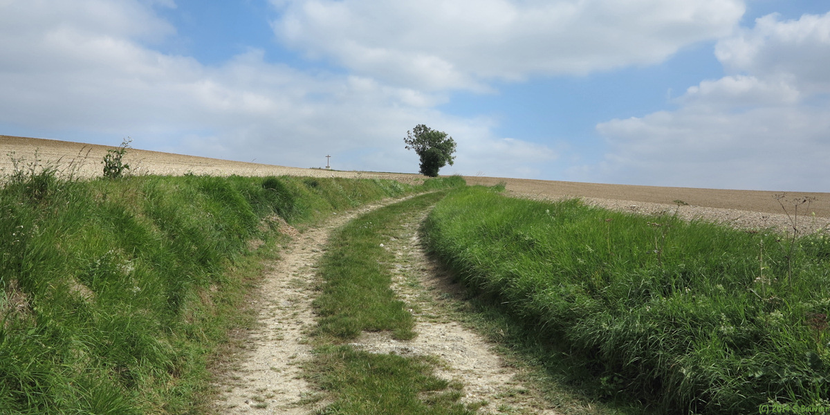 Milly sur Thérain (Chemin)