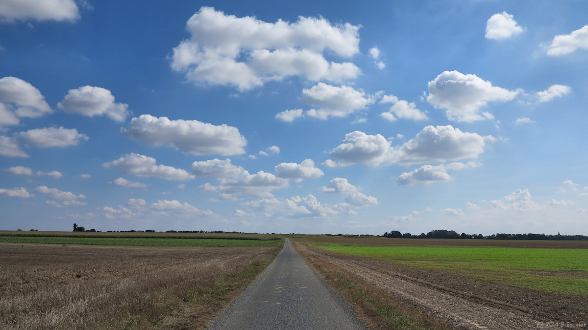 Rotangy (Chemin bitumé)