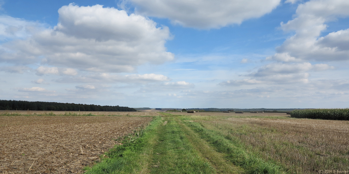 Lavacquerie (Chemin)