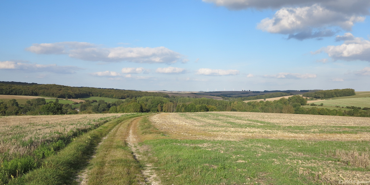 Catheux (Chemin 1)