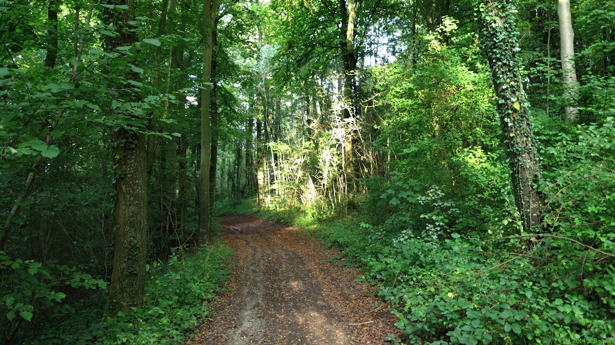 Catheux (Chemin 2)