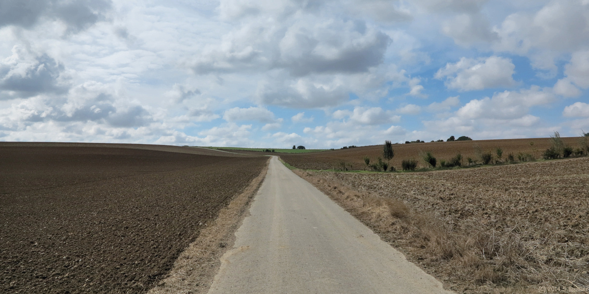 Noyers St Martin (Chemin bitumé)