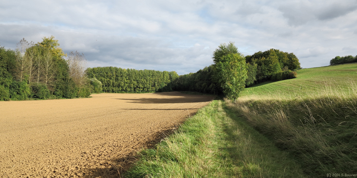 Montreuil sur Brêche (Chemin)