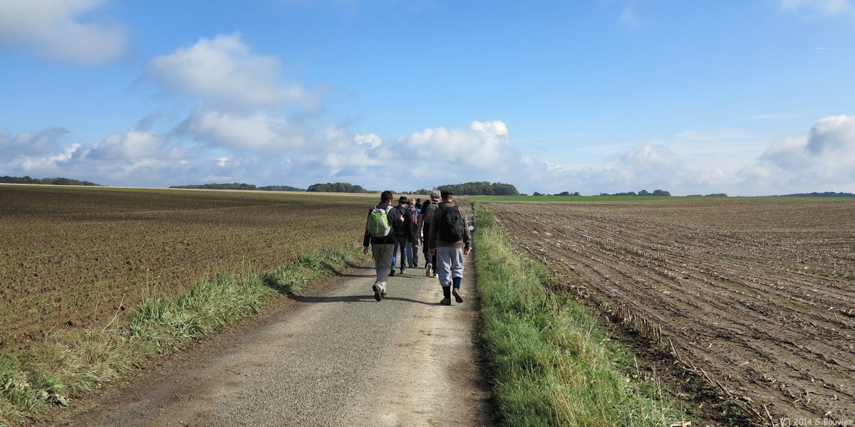 Le Coudray sur Thelle (Chemin)