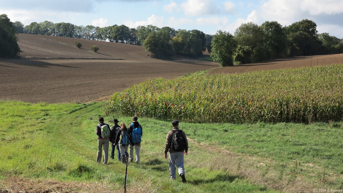 Le Coudray sur Thelle (Fond)
