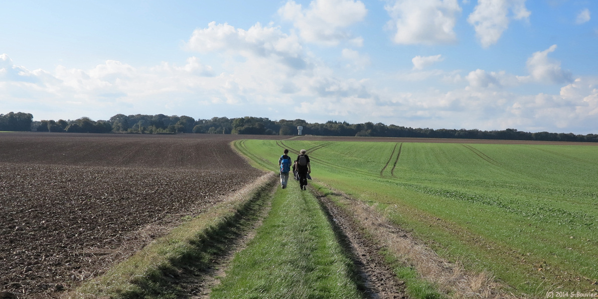 Le Déluge (Chemin 2)