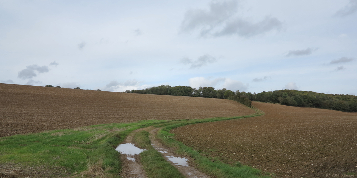 Catheux (Chemin 1)
