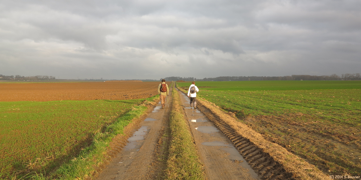Offranville (Chemin)
