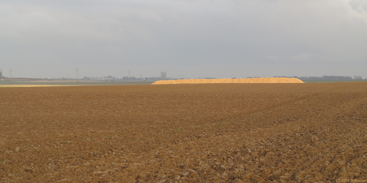 Offranville (Plaine 1)