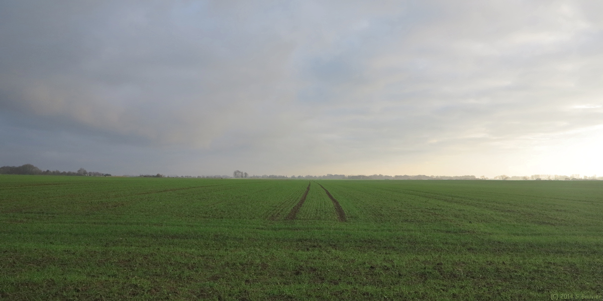 Offranville (Plaine 2)