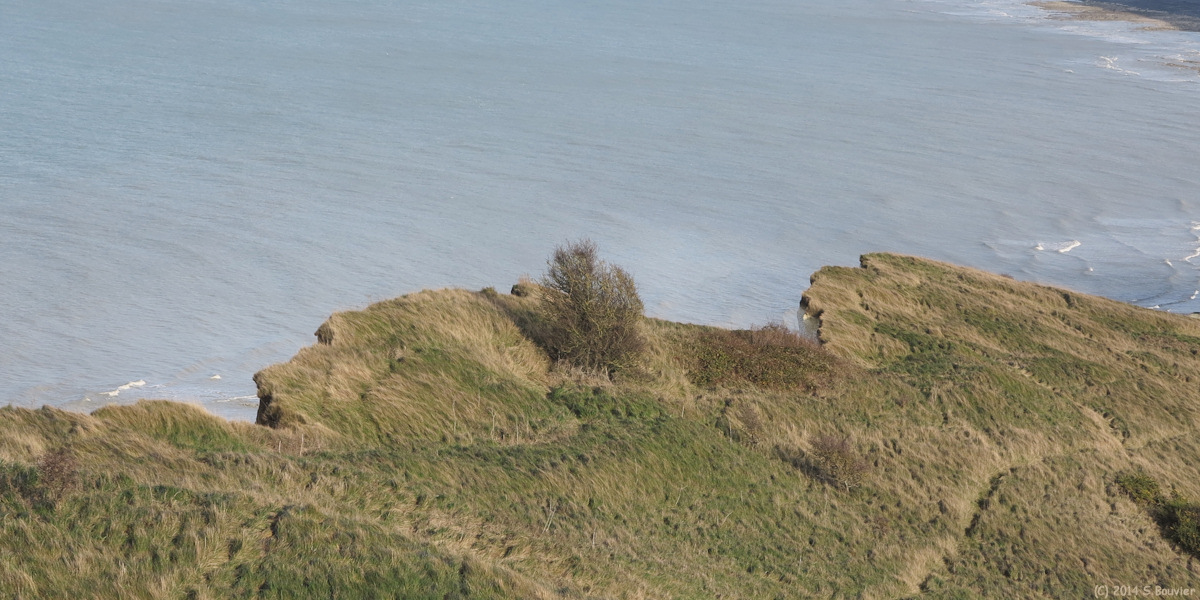 Criel sur Mer (Falaises)