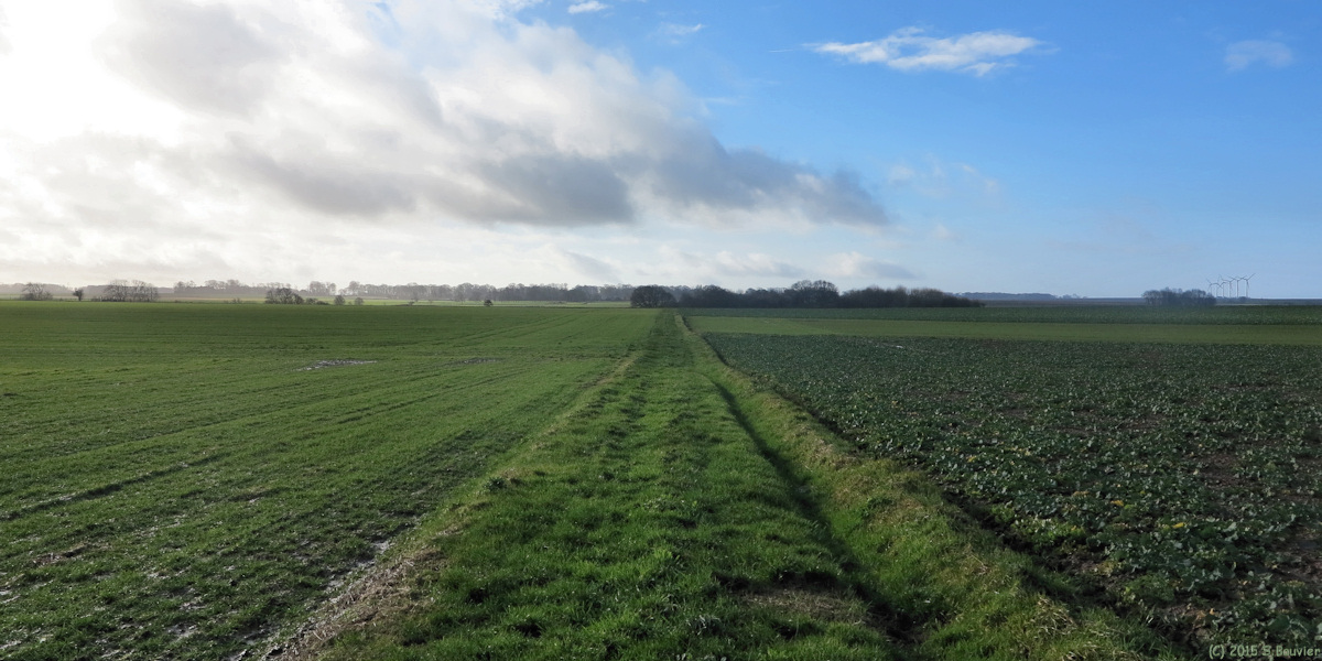 Sotteville sur Mer (Chemin 1)