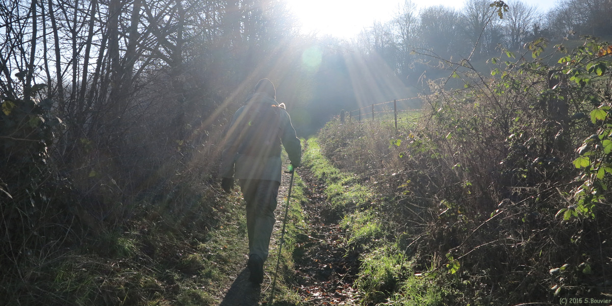 Offranville (Chemin)