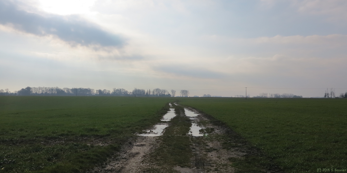 Sauqueville (Chemin)