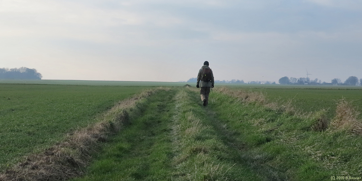 Auppegard (Chemin)