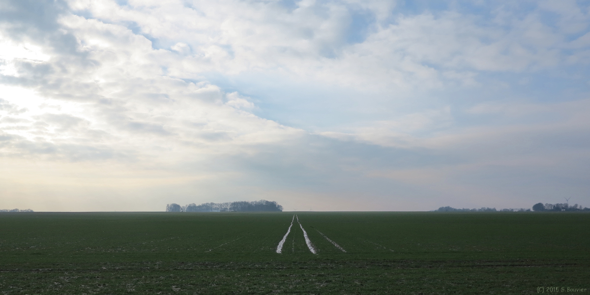 Auppegard (Plaine)