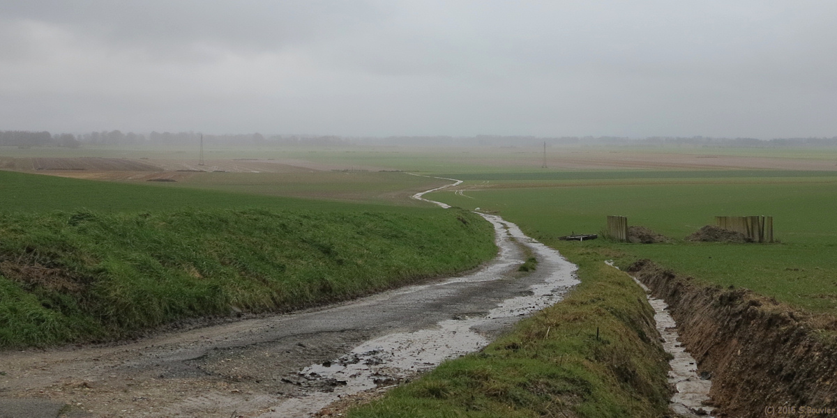 Hautot sur Mer (Chemin)