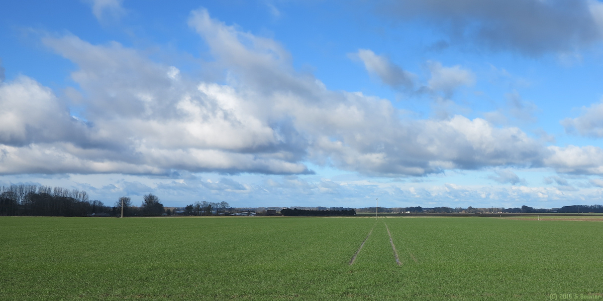 Sauqueville (Plaine)