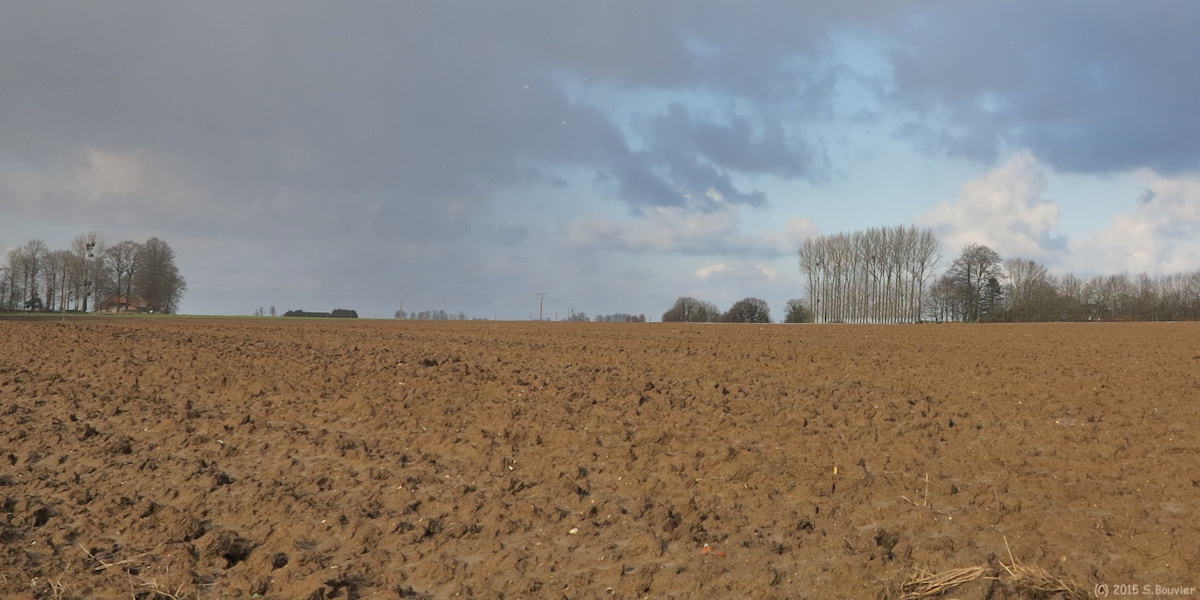 Bertreville Saint Ouen (Plaine)