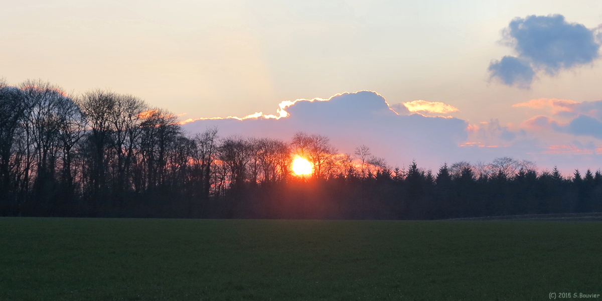 Anneville sur Scie (Coucher de Soleil)