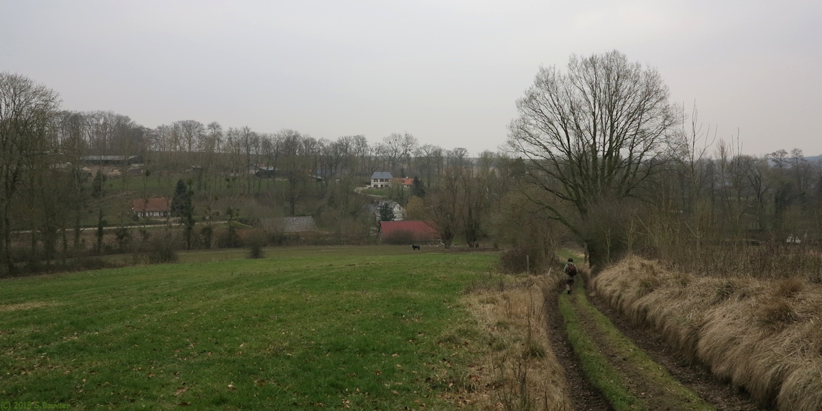 Lammerville (Flamanville 1)