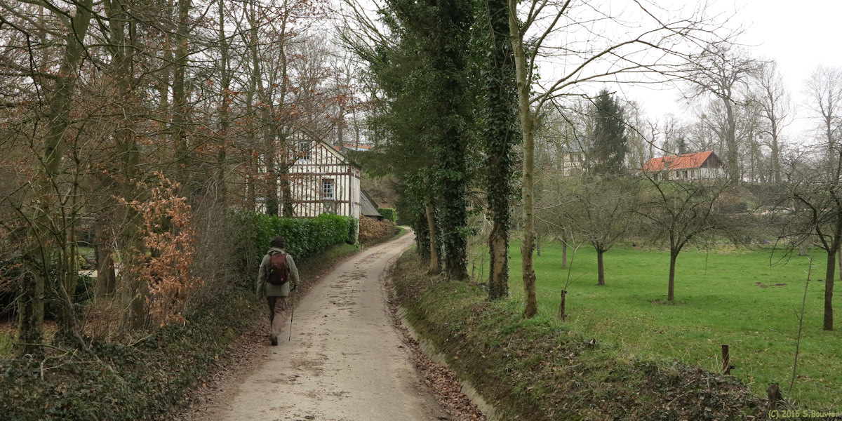 Lammerville (Flamanville 2)