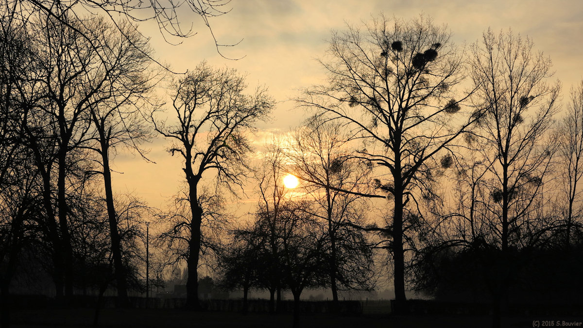 Belmesnil (Soleil tombant)