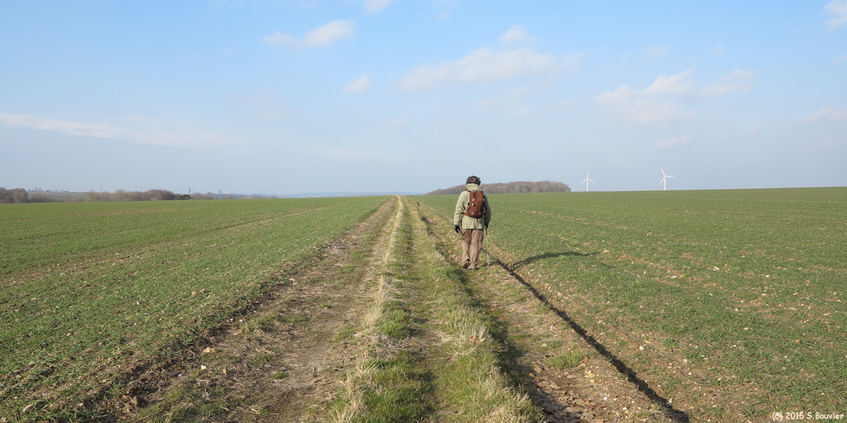 Brachy (Chemin 2)