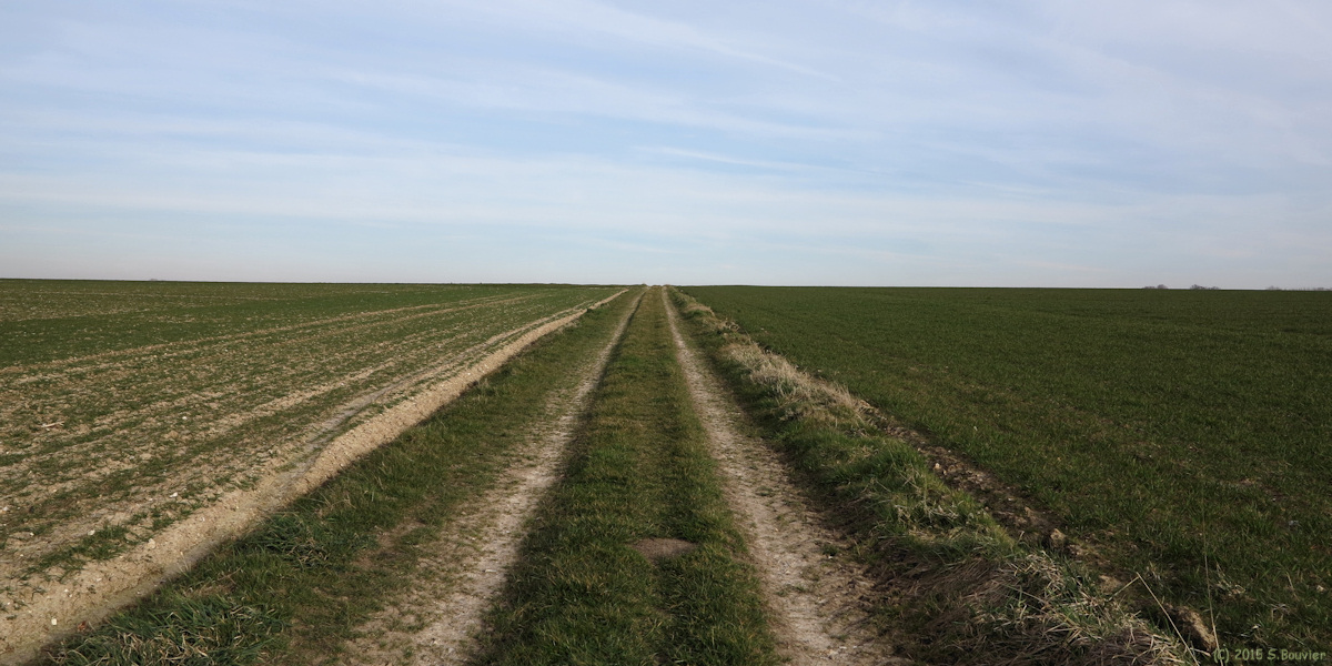 Royville (Chemin)