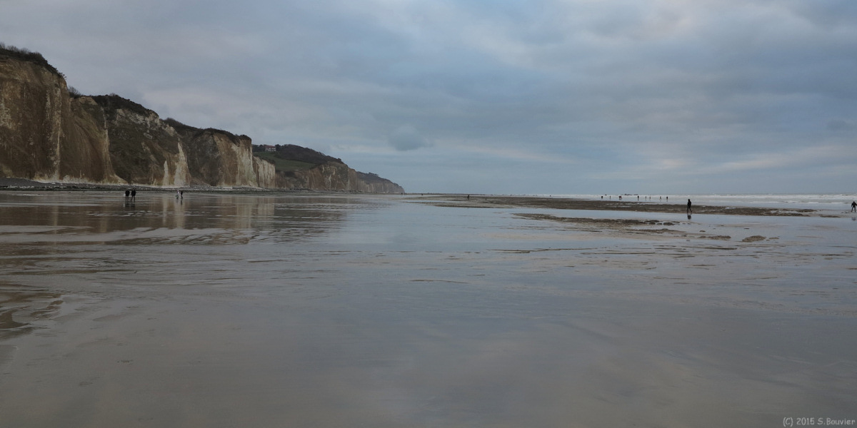 Varengeville sur Mer (Estran 1)